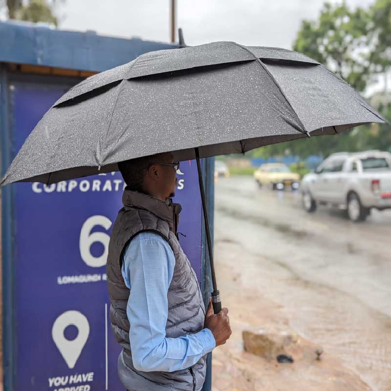 Windproof Umbrella